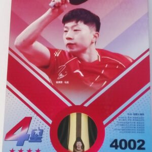 Ракетка DHS 4002, 4 stars , для настольного тенниса